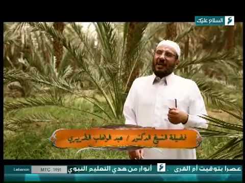 ذاكرة الأماكن ح22 قصة بئر ومزرعة سلمان الفارسي ولماذا زرع فيها ٣٠٠ نخلة د عبد الوهاب الطريري