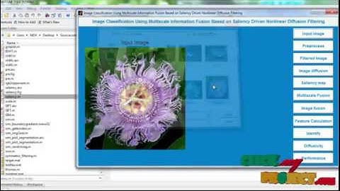 Final Year Projects 2015| Image Classification Using Multiscale Information
