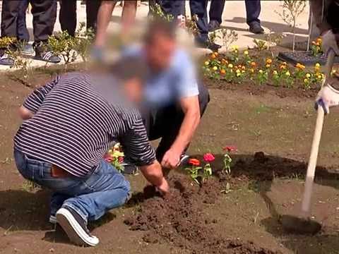 N15 დაწესებულებაში გამწვანების აქცია გაიმართა