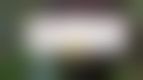 how to fix 0x000007b error in games and windows