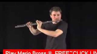 Beatboxing Flute Super Mario Brothers Theme *Best Ever*