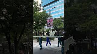 Workers Transport Billboard With Dog Sitting on Top