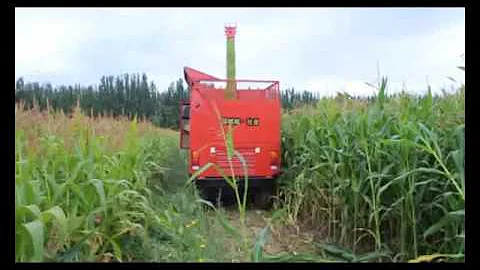 9QZ 2100 row independent maize chopper forage harvester