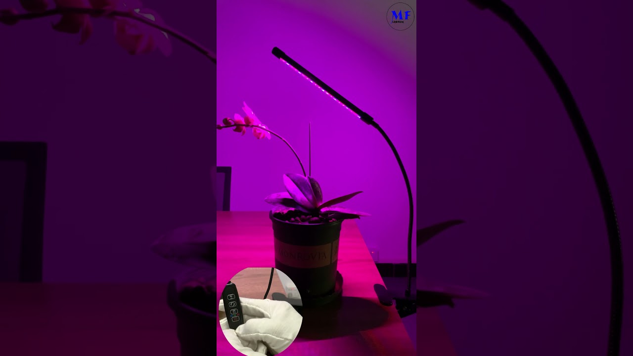 Clip Grow Light 