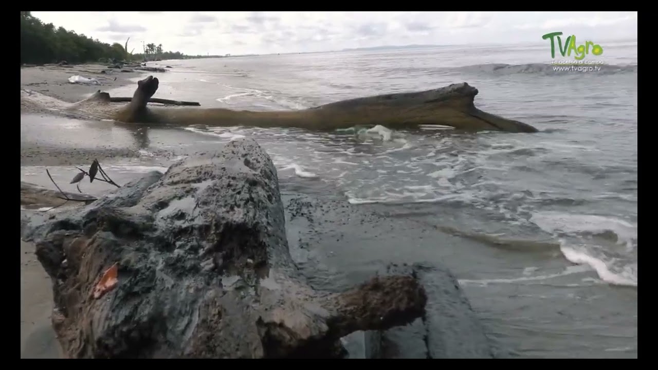 video presentacion laguna beach