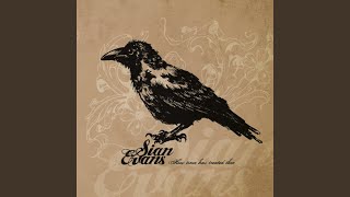 Blackest Crow
