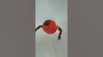 SKYDIVING THROUGH A CLOUD