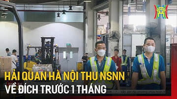 Hải quan Hà Nội thu NSNN về đích trước 1 tháng | Tin tức