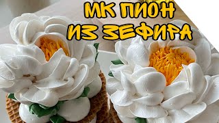 видео: Мк ПИОН ИЗ ЗЕФИРА 😍 картинка: Мк ПИОН ИЗ ЗЕФИРА 😍