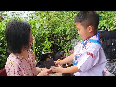 ปลูกต้นไม้แห่งรัก 🥰 กิจกรรมวันแม่ โรงเรียนวันทามารีอา ราชบุรี