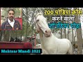 लो जी मेले में आ गया 700 घोड़िया क्रॉस करने वाला जॉनडियर घोड़ा - Muktsar Mandi 2021