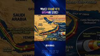 전쟁 안 해도 됩니다 | 케이블 하나면 세계 경제가 멈춥니다