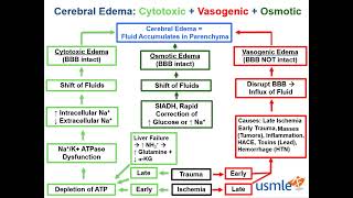 Cerebral Edema