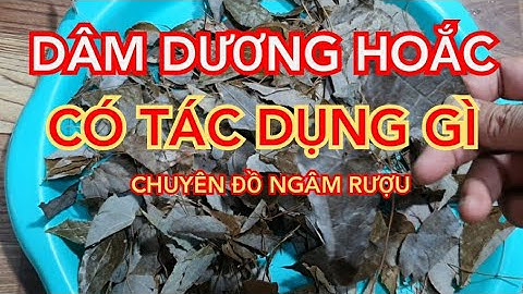 Dâm dương hoắc có tác dụng gì - Công dụng của lá dâm dương hoắc - Cách ngâm rượu dâm dương hoắc