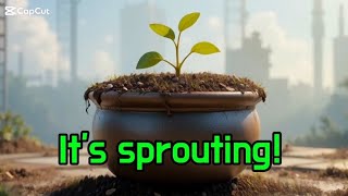 🌱It's sprouting!🌱#natural kids song #Spring song#a natural observational nursery rhyme