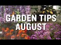 August Garden Tips and Projects: P. Allen Smith (2019)