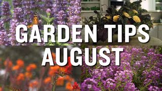 August Garden Tips and Projects: P. Allen Smith (2019)