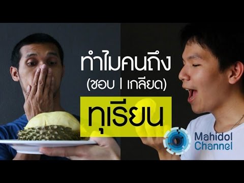 คลิป MU [by Mahidol] ทำไมคนถึง(ชอบ/เกลียด)ทุเรียน