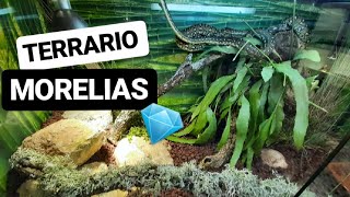 Cómo hacer un TERRARIO ROCOSO para SERPIENTES #MORELIA