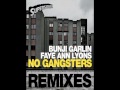 Bunji Garlin & Faye Lyons - No Gangsters (Oktavists Remix)