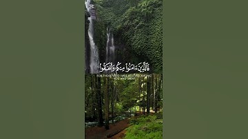 #ياسر_الدوسري #اكسبلور #القرآن_الكريم #دويتو #لايك #القارئ_ياسر_الدوسري #راحة_نفسية #شاشه_سوداء