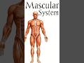 Muscular System | Types of Muscles | #muscularsystem