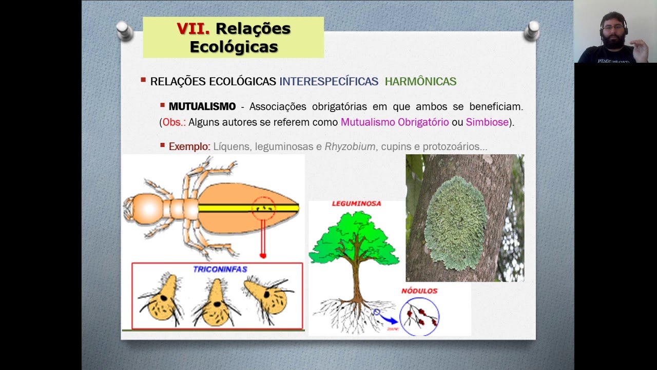 Analise As Proposições Em Relação A Ecologia