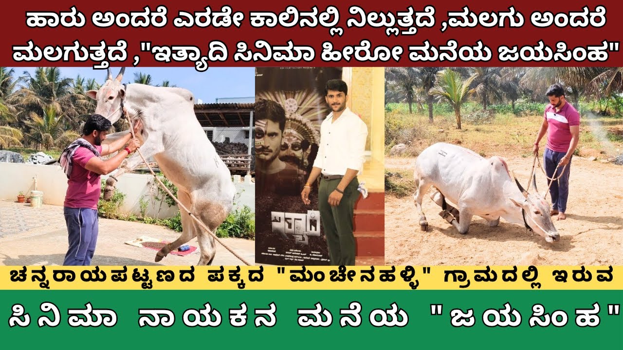 ಹಾರು ಅಂದರೆ ಎರಡೇ ಕಾಲಿನಲ್ಲಿ ನಿಲ್ಲುತ್ತದೆ ,ಮಲಗು ಅಂದರೆ ಮಲಗುತ್ತದೆ ಇತ್ಯಾದಿ ಸಿನಿಮಾ ಹೀರೋ ಸಚೀನ್ ಮನೆಯ ಜಯಸಿಂಹ MP