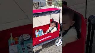 9 Month Old King Taking A Cruise