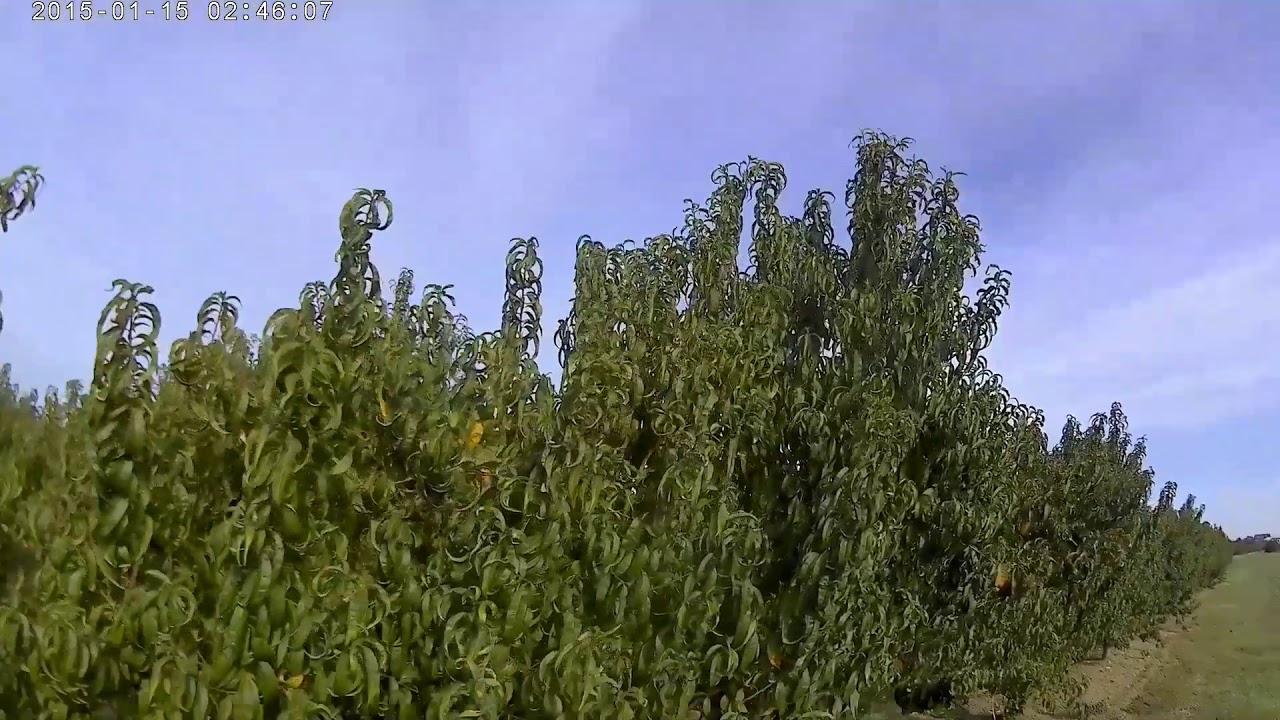 il 28 non si cambia! LEPRE