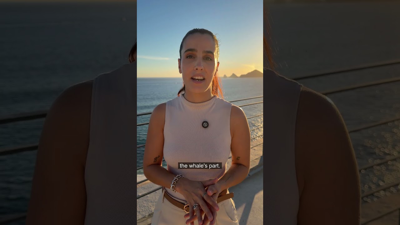 Top 3 wedding locations at The Cape, Los Cabos🎻💍