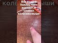 Пока проходил рыцарей хранителей) #xD #xdteam #coding #python #music #мем #t2x2 #programming
