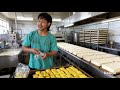 Cara membuat tahu putih susu dan tahu kuning kunyit