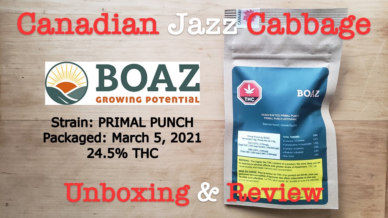 Boaz-Primal Punch OCS Unboxing & Review