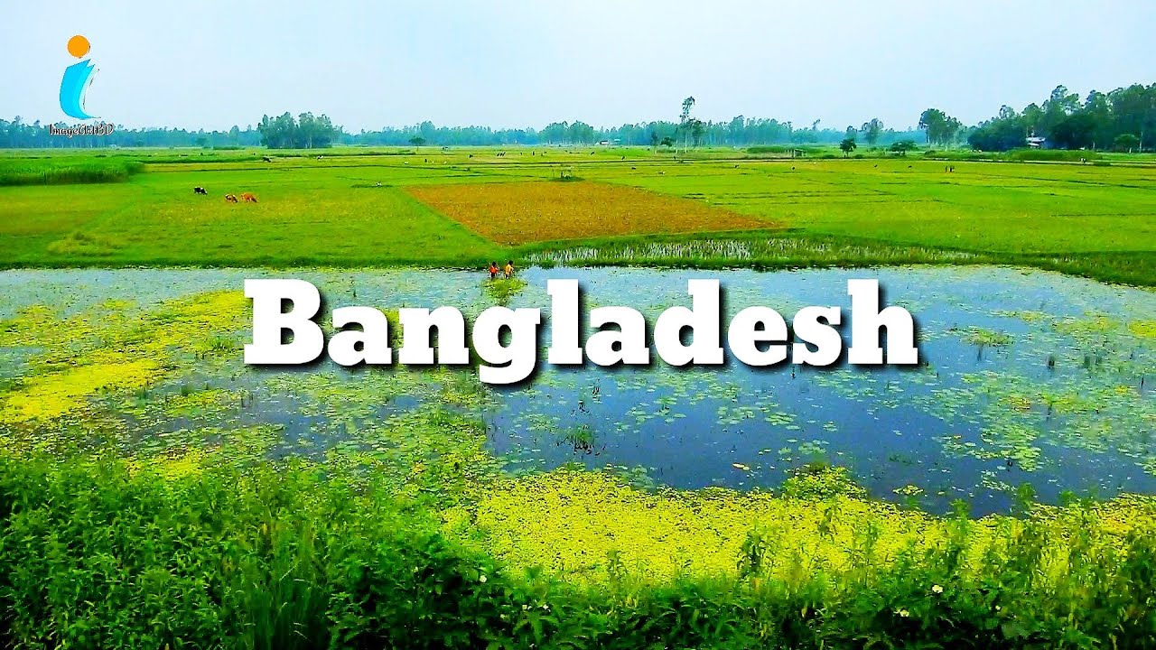 green bangladesh tours