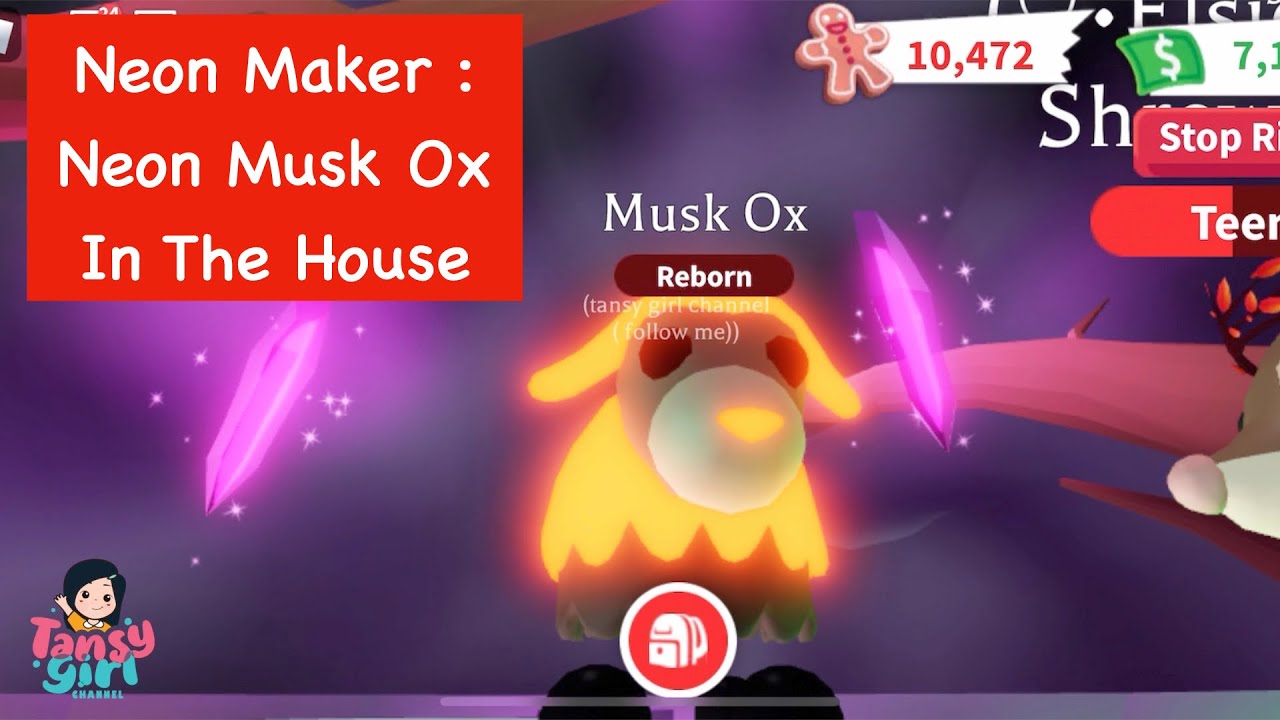 Roblox Adopt Me Neon Musk Ox In DA House - YouTube