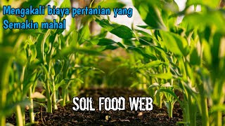 (3) Menekan biaya pertanian dengan Soil Food Web #munandartv