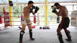 Fake low kick-switch to high kick