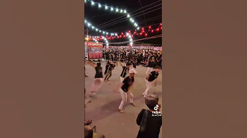 موكب زنجيل البراعم 