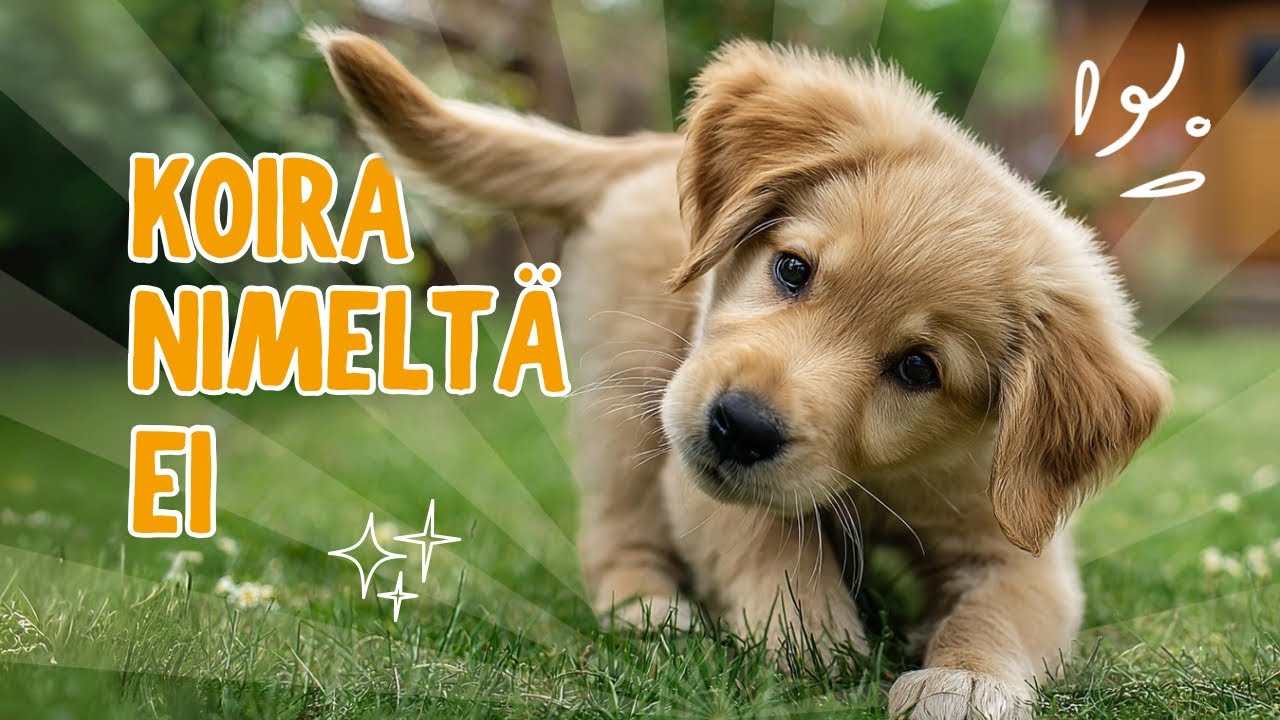 Koira nimeltä Ei | Miman Melodiat | Lastenlauluja suomeksi