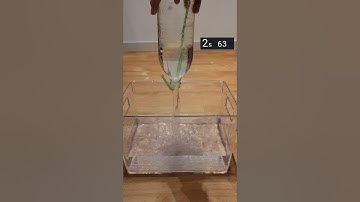 The fastest way to empty a Bottle #shorts #physics #science #experiment