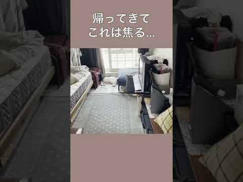 【キャバリア】帰ってきてこれは焦る… #shorts