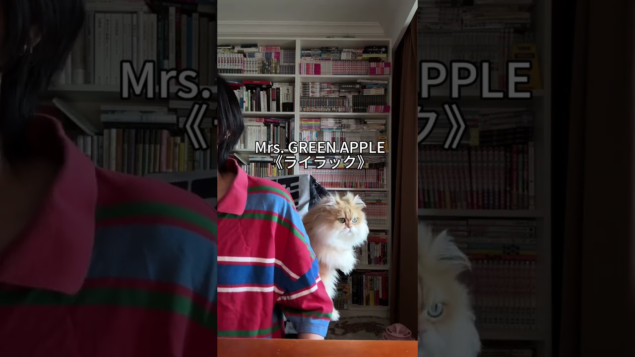 ライラック-Mrs.GREEN APPLE #ごまもち #芝麻mochi　#歌ってみた #歌cover