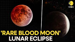 Career Overview Lunar Eclipse LIVE: Rare Blood Moon Lights Up the Night Sky Stunning Skywatchers | WION Live