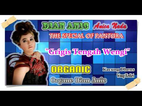 Album 2014 DIAN ANIC | Grigis Tengah Wengi (Audio)