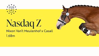 Nasdaq Z - Zangersheide Stallion Presentation 2023