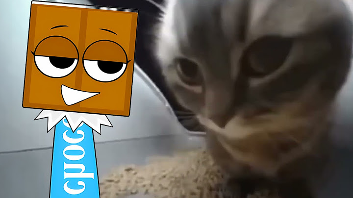 Incredibox Sprunki OC 19 – Chipi Chipi Chapa Chapa (COVER)