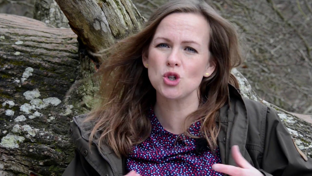 Præsentation af bogen "Historien om Danmark"