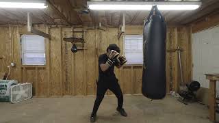Heavy Bag and Double End Bag Training