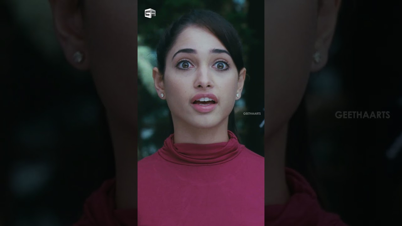 #Badrinath Telugu Movie Scenes | #alluarjun #tamannaah #brahmanandam #krishnabhagavan #msnarayana